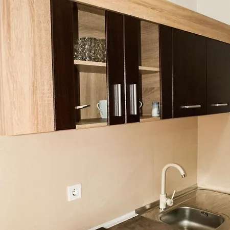 Soko Lejlighed Sokobanja