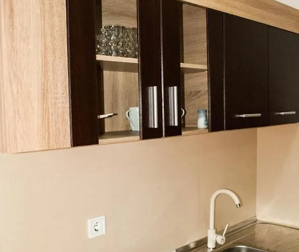 Soko Apartament Soko Banja